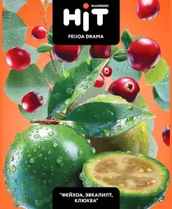 BlackBurn Hit Feijoa Drama (фейхоа, эвкалипт, клюква) 30 г